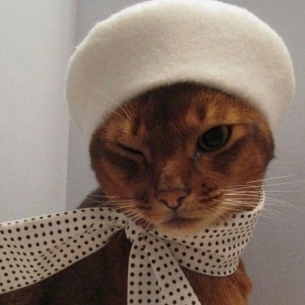 Meet your Posher, Olivia